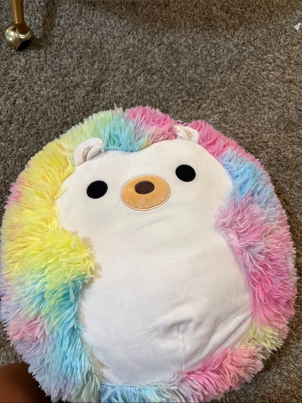Squishmallows Rainbow Pastel Plush Hedgehog - White Face